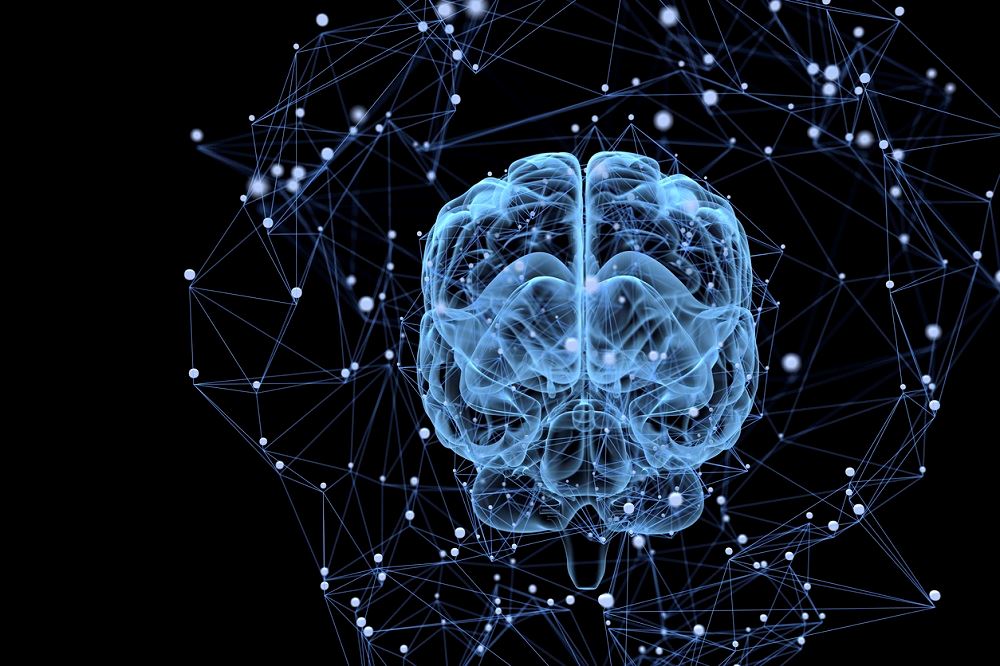 Neural